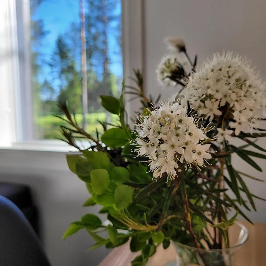 Siikavilla, Siikajoki Extérieur photo